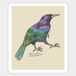 Shiniy Cowbird Magnet